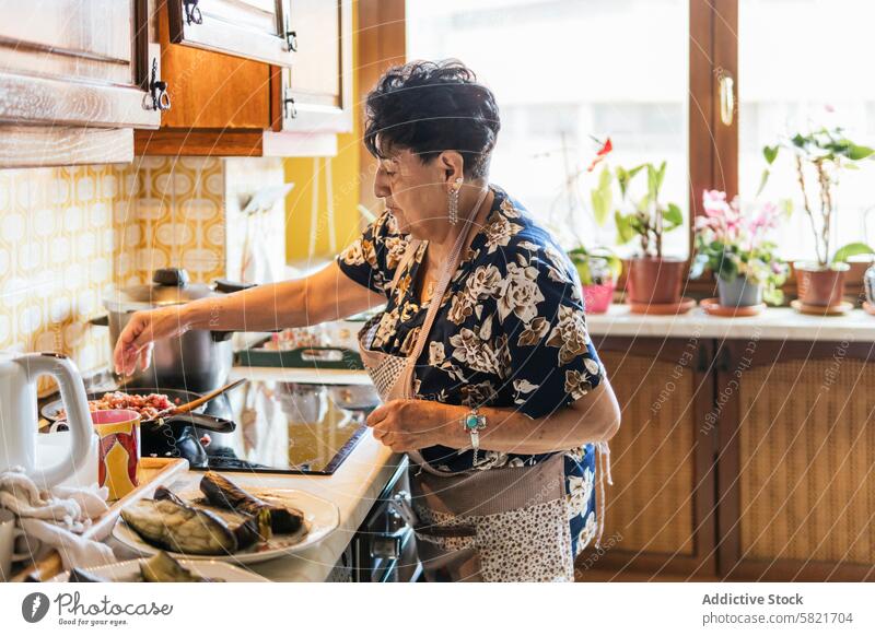 Ältere Frau bei der Zubereitung einer Mahlzeit in ihrer Küche Senior Essen zubereiten heimwärts älter vorbereitend Herd Zutaten Pflanzen Hintergrund heimisch