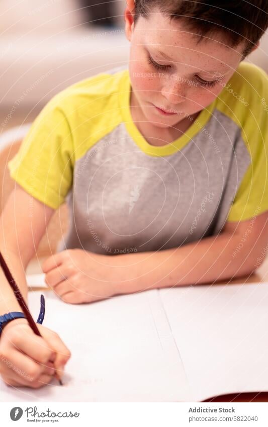 Junge konzentriert sich auf das Zeichnen zu Hause Kind heimwärts Zeichnung Papier Bleistift fokussiert konzentrierend kreativ Aktivität im Innenbereich
