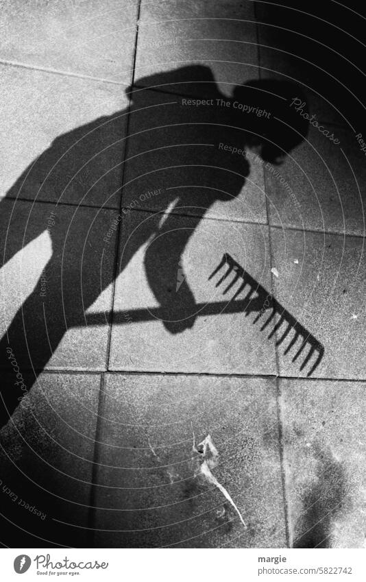 Eine Frau bei der Gartenarbeit (Schatten) Rechen Außenaufnahme Vogelschiss Gartengeräte Werkzeug terasse Schattenspiel Ordnung