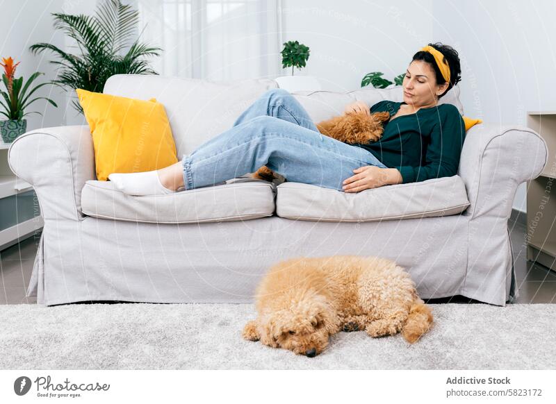 Frau entspannt sich auf der Couch mit ihren Hunden Haustier Sofa Wohnzimmer Erholung fluffig gemütlich modern hell im Innenbereich heimwärts Komfort Freizeit