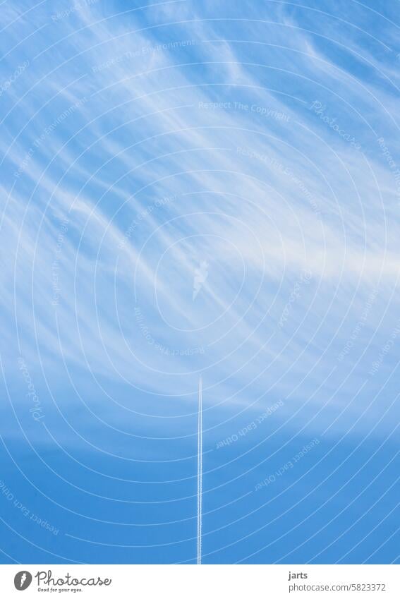 Kondessteifen vs. Schleierwolke kondesstreifen Himmel blau Wetter Schönes Wetter Schleierwolken Wolken Menschenleer schleierwolken Farbfoto Tag Luftverkehr
