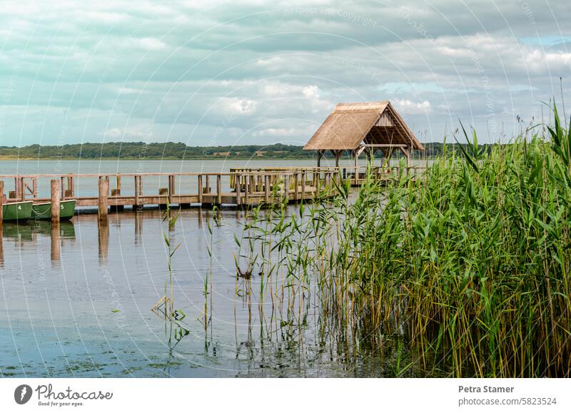 Bootshaus am See Steg Schilf Wasser Natur Landschaft ruhig Erholung Himmel Ruhe Wasseroberfläche friedlich Idylle Wolken Umwelt Farbfoto Menschenleer