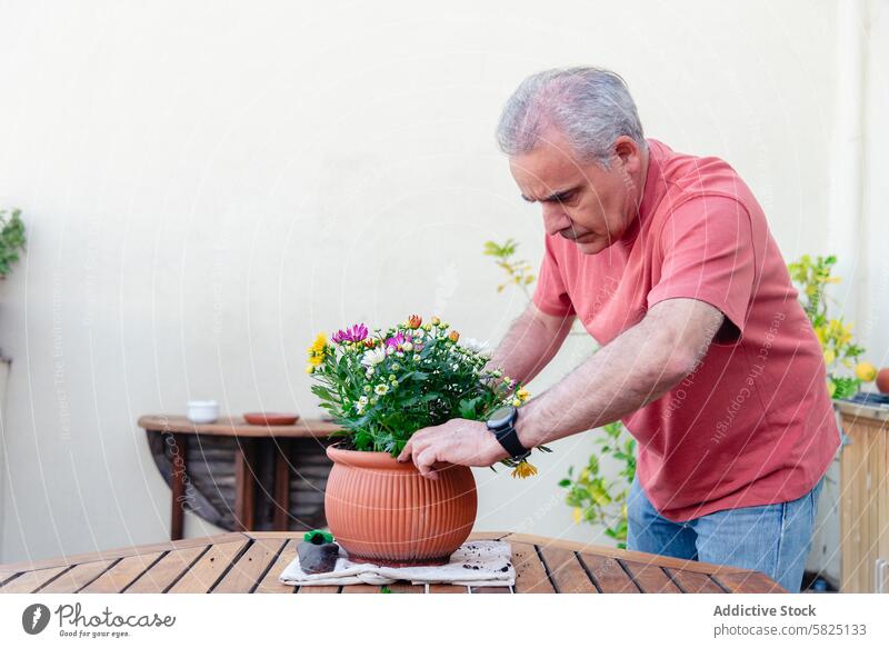 Älterer Mann pflanzt Blumen in einem Topf im Freien Senior Pflanze Garten Gartenarbeit Hobby in den Ruhestand gehen Aktivität Pflege Natur geblümt Terrasse