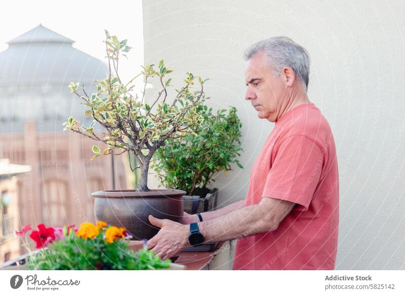 Älterer Mann lässt eine Pflanze auf einem sonnigen Balkon stehen Senior Pflege Blume im Freien Containergarten reifer Erwachsener Hobby Fokus Gartenbau