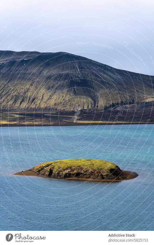 Isländisches Hochland mit ruhiger vulkanischer Landschaft Island Highlands Vulkan Berge u. Gebirge See Inselchen Gelassenheit blau grün üppig (Wuchs) natürlich