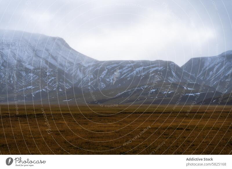 Neblige Schneegipfel und goldene Felder in Island Hochland Nebel Gipfel düster Himmel Natur Landschaft im Freien Berge u. Gebirge reisen abgelegen Wildnis