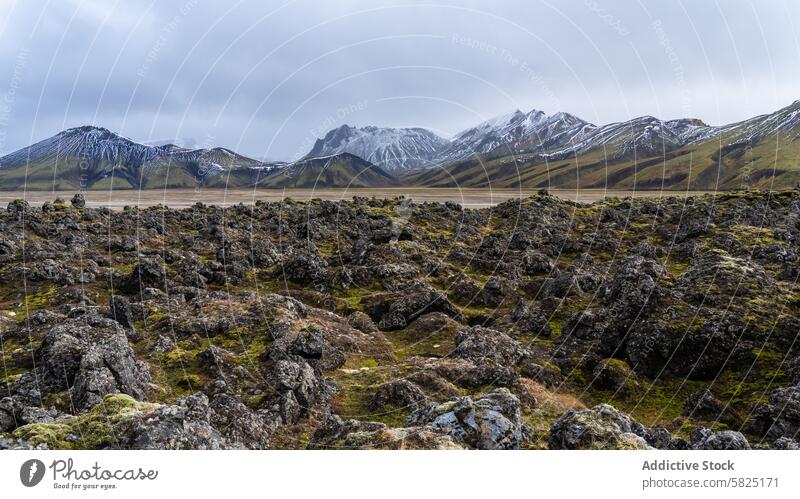 Schroffe Lavafelder und schneebedeckte Gipfel im isländischen Hochland Landschaft Berge u. Gebirge Schnee Island Natur robust dramatisch Kontrast im Freien