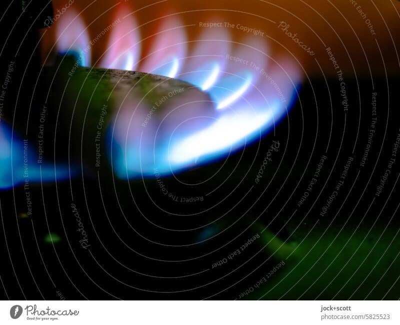 sprichwörtlich | Feuer und Flamme für Energie Gasflamme Gasherd heiß brennen Wärme Herd & Backofen Technik & Technologie Energieverbrauch Energiequelle Erdgas