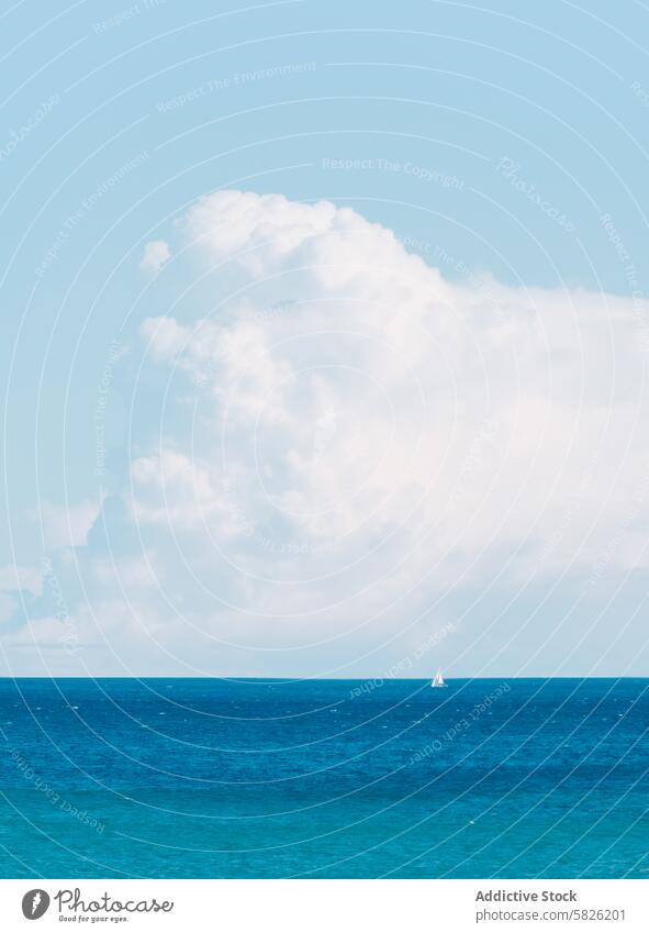 Gelassene Seelandschaft mit Segelboot am Horizont Meer blau Himmel Wolken ruhig Seefahrt MEER friedlich Windstille marin nautisch Segeln Wasser Gelassenheit