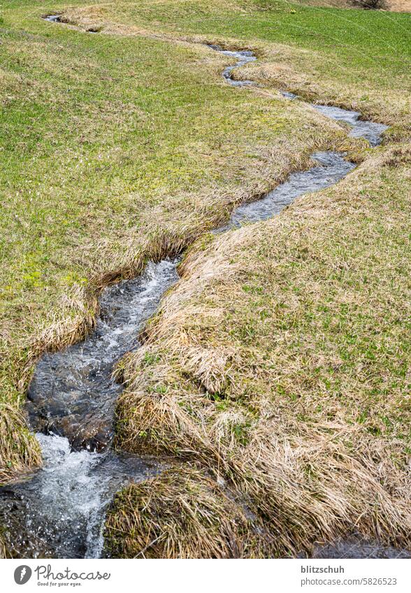 Ein kleines Bächlein fliesst durch die Wiese Bach Wasser Natur Fluss Landschaft grün Sommer fließen Umwelt natürlich nass Wiesenbach Urelemente Berge Graubünden