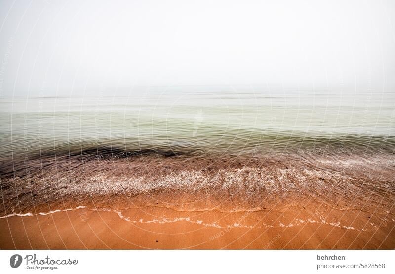 ungewissheit verborgen geheimnisvoll weite Idylle Rügen Nebel stille Sandstrand Wasser Fernweh Sehnsucht Wolken Landschaft Ostseeküste Küste Strand Meer Himmel