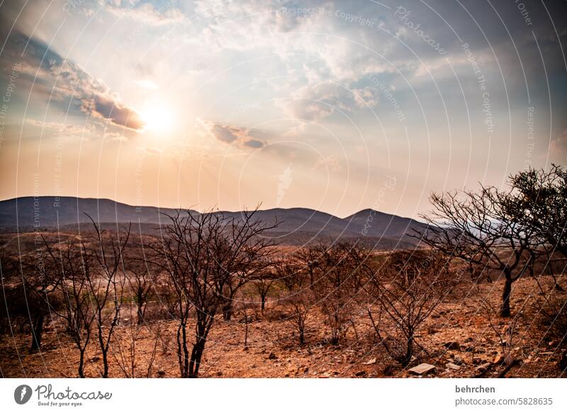 im kaokoveld Dämmerung träumen Afrika Farbfoto Einsamkeit beeindruckend magisch Abenteuer Landschaft Wüste stille Hoffnung dunkel wunderschön Ferne