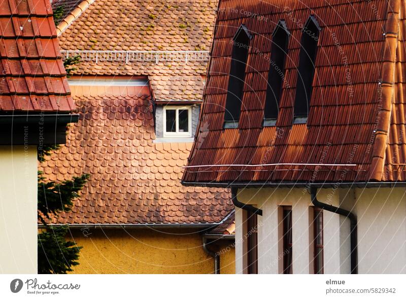 verschiedene Ziegeldächer mit Fenstern Ziegeldach wohnen Adresse Dachziegel Altbau Dachfenster Dachrinne Schneefanggitter Strukturen & Formen Blog