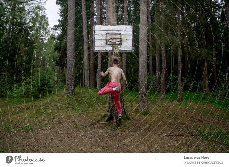 Eine wilde Actionszene in einem dichten Wald mit einem robusten männlichen Model. Ein rostiger Basketballkorb steht mitten im Wald. Die Muskeln des Mannes sind von hinten zu sehen, als er springt, um zu punkten.