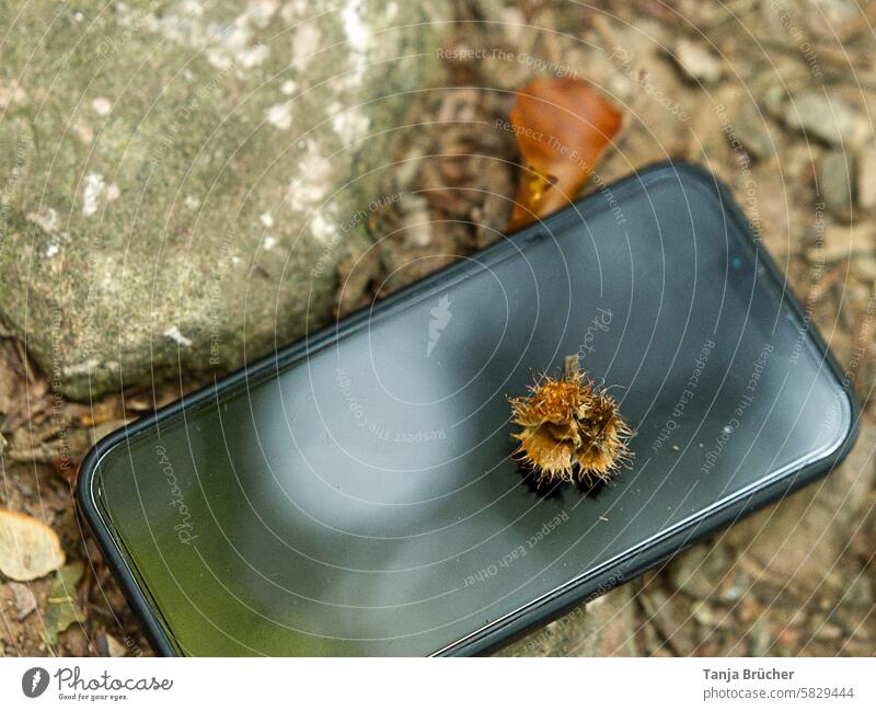 Handy im Wald - zum Glück nicht kaputt Mobiltelefon Smartphone Technik & Technologie Waldweg verloren verloren gegangen runtergefallen Lifestyle