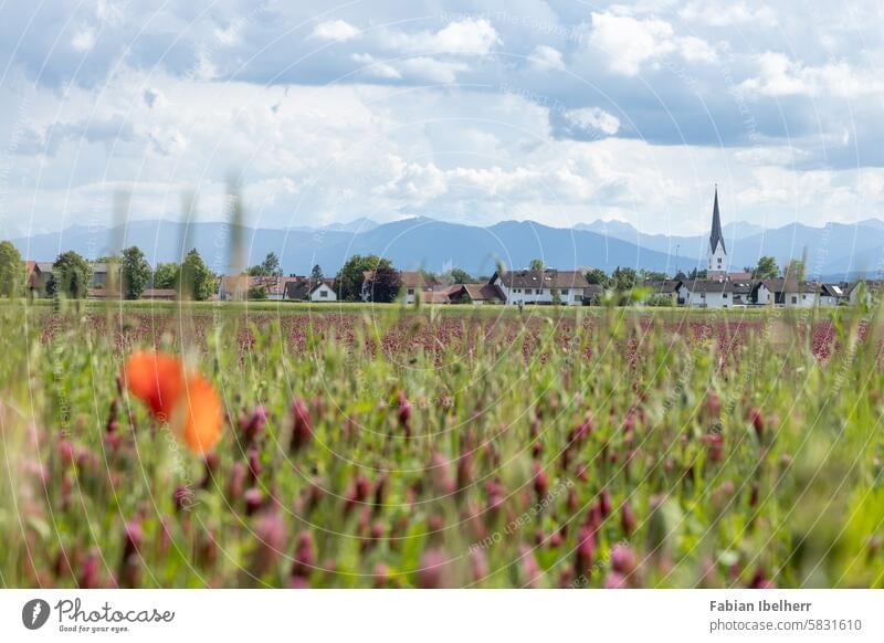 Wielenbach bei Weilheim in Oberbayern mit Kirche Sankt Peter Unterhausen Kirchturm Deutschland