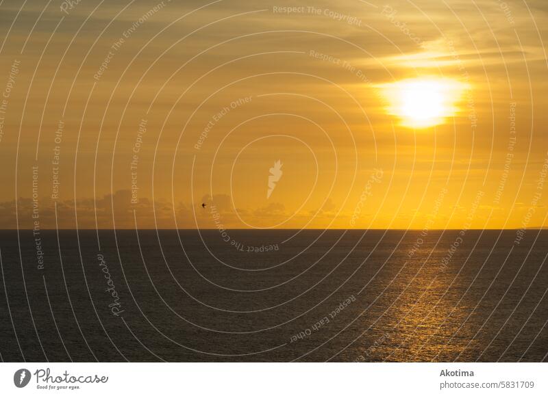Goldener Sonnenuntergang über dem Indischen Ozean Reisefotografie Ferien & Urlaub & Reisen Indonesien Bali goldene Stunde Windstille friedlich reisen Natur