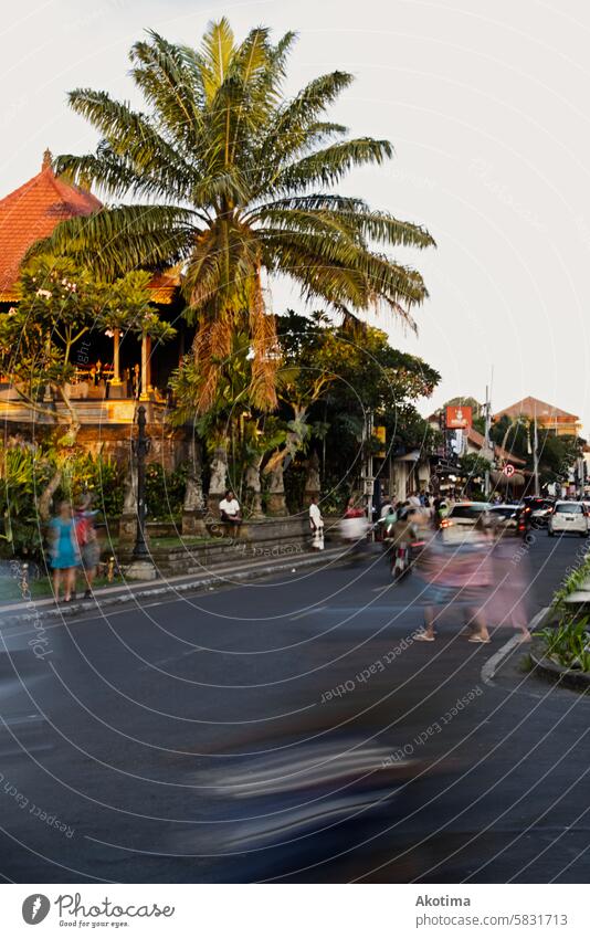 Straßenleben in Ubud, Bali, Indonesien goldene Stunde streetlife Straßenfotografie Palme schnell unscharfes Objekt Ferien & Urlaub & Reisen Asien Farbfoto