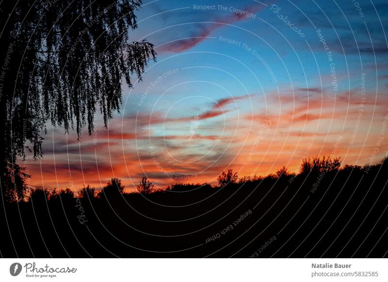 Sonnenuntergang Natur Naturliebe Himmel Landschaft