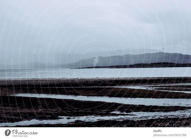 verträumte schottische Wasserlandschaft im Nebel traumhaft bewölkter Himmel Schottland grauer Himmel stimmungsvoll ruhig Ruhe nebelig neblig Nebellandschaft