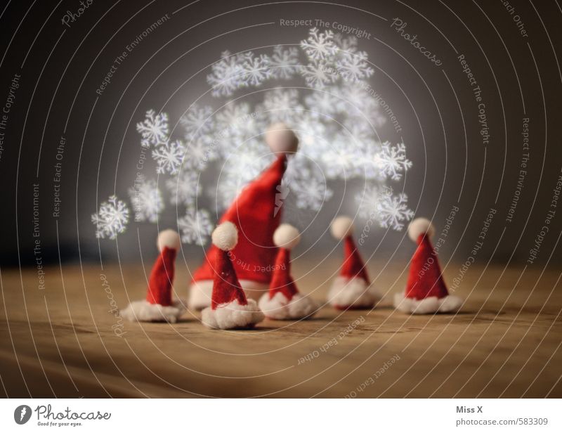 Stars des Tages Weihnachten & Advent Familie & Verwandtschaft Menschengruppe Kindergruppe Menschenmenge Mütze glänzend leuchten Kommunizieren Stimmung Team