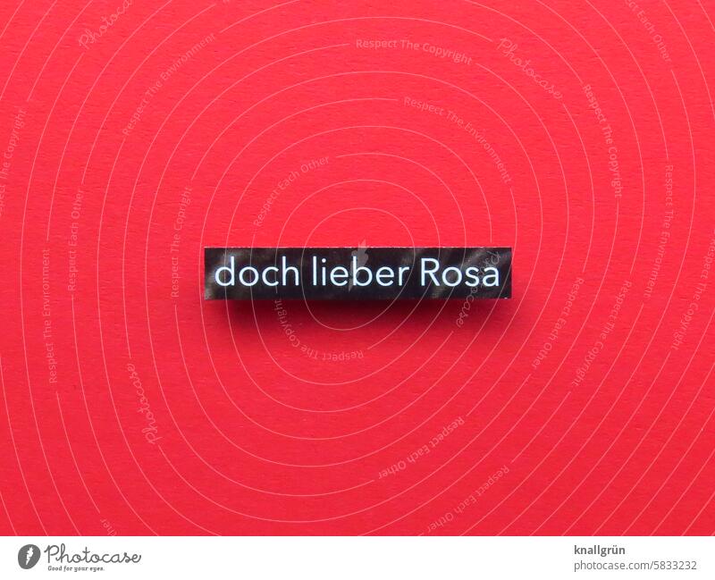 Doch lieber rosa Veränderung Wandel & Veränderung Meinung Farbe Farbfoto Menschenleer Nahaufnahme Vergänglichkeit unzufrieden Buchstaben Wort Satz Letter