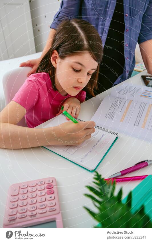 Mädchen konzentriert sich auf Hausaufgaben mit Taschenrechner in der Nähe Fokus studierend Rechner Pflanze Schreibtisch Konzentration heller Raum Bildung Lernen