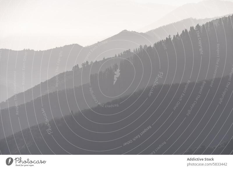 Neblige Berglandschaften im Valle de Liebana, Spanien Nebel Berge u. Gebirge Ebene Gelassenheit Steigung Kantabrien Natur ruhig Landschaft Silhouette