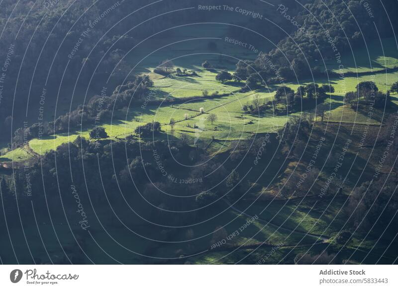 Nebliges Morgenlicht im Valle de Liebana, Kantabrien Sonnenlicht Nebel ruhig Landschaft Spanien Gelassenheit Szene Natur im Freien Licht Schatten Wald Wiese