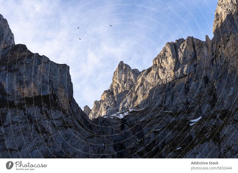 Majestätische Berggipfel und Vögel im Valle de Liebana Berge u. Gebirge Gipfel Vogel Himmel Natur robust turmhoch Kantabrien Spanien Gelassenheit Abenteuer