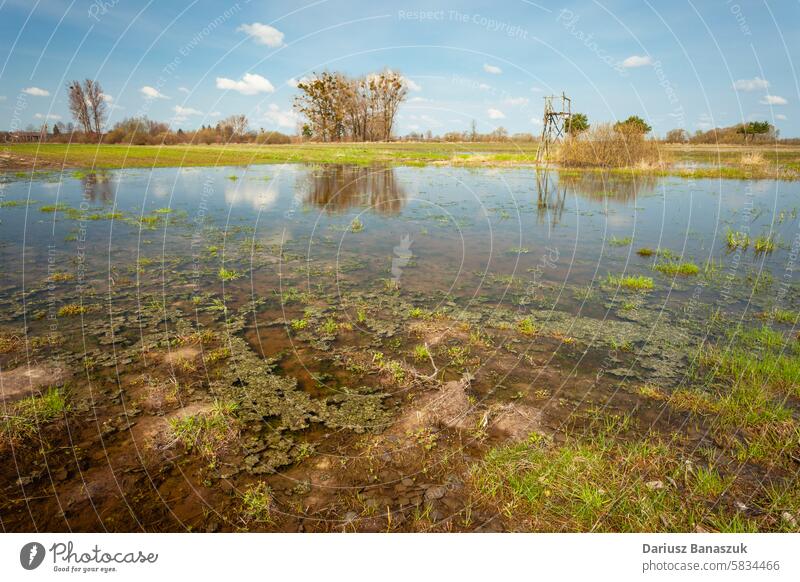 Blick auf eine überschwemmte Wiese an einem klaren Tag, Aprilansicht überflutet Klima Feuchtgebiet Weide Wasser Naturkatastrophe horizontal Fotografie im Freien