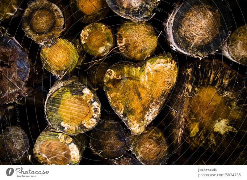 Baumstamm in Herzform Querschnitt Herz (Symbol) herzförmig Symbole & Metaphern Maserung Rohstoffe & Kraftstoffe Holzstapel Romantik Glück Wachstum Jahresringe