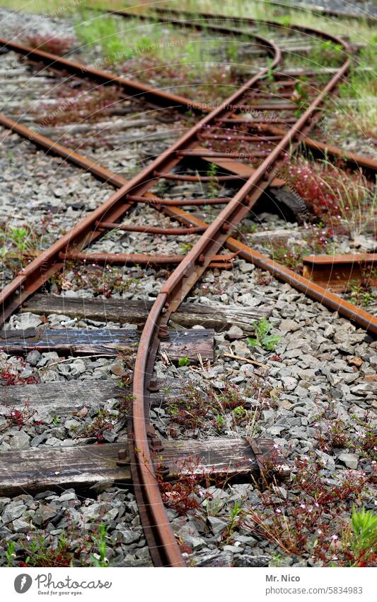 sprichwörtlich I  zweigleisig fahren Schienenverkehr Gleise Eisenbahn Weiche Abzweigung Richtung mehrgleisig Nebenstrecke Bahnfahren Eisenbahnstrecke