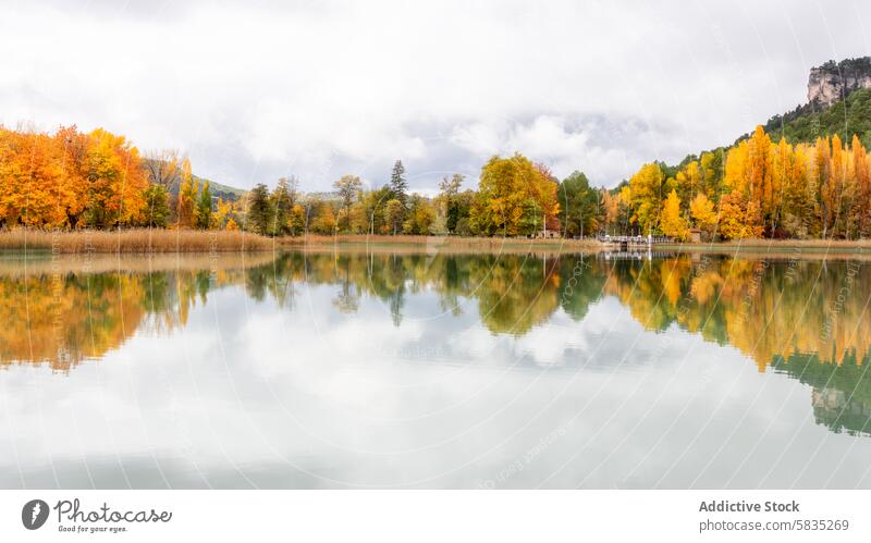 Herbstliche Stille an der Lagune von UÃ±a in Cuenca Reflexion & Spiegelung Wasser Laubwerk pulsierend Windstille ruhig Landschaft Natur Gelassenheit friedlich