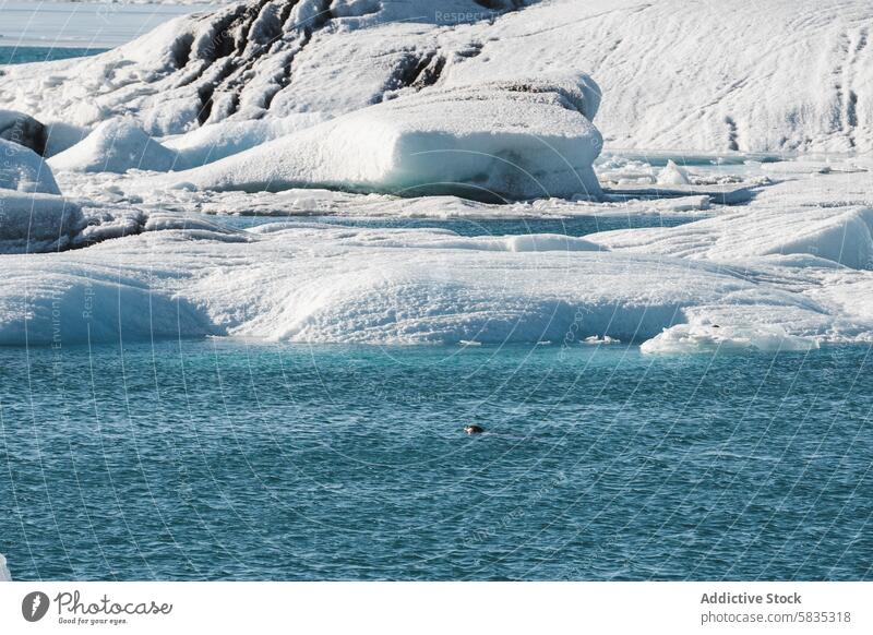 Eisige Landschaft mit Gletscher Island Wasser kalt Frost Natur Umwelt zerlaufen Klima arktische frieren Kälte im Freien reisen Wildnis abgelegen Ruhe