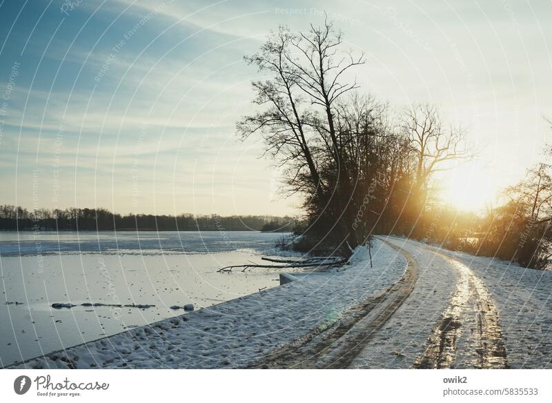 Knapp unter Null Winterlandschaft Sonne Sonnenlicht Außenaufnahme Wege & Pfade Landschaft Winterstimmung winterlich Gegenlicht Januar Schneelandschaft