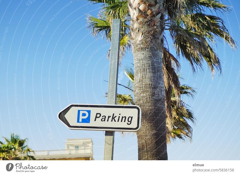 Schild  P Parking neben einer Palme Parkplatz parken Meer Mittelmeer Korsika Sommer Urlaub Corse französisch Ferien & Urlaub & Reisen Blog Sommerurlaub