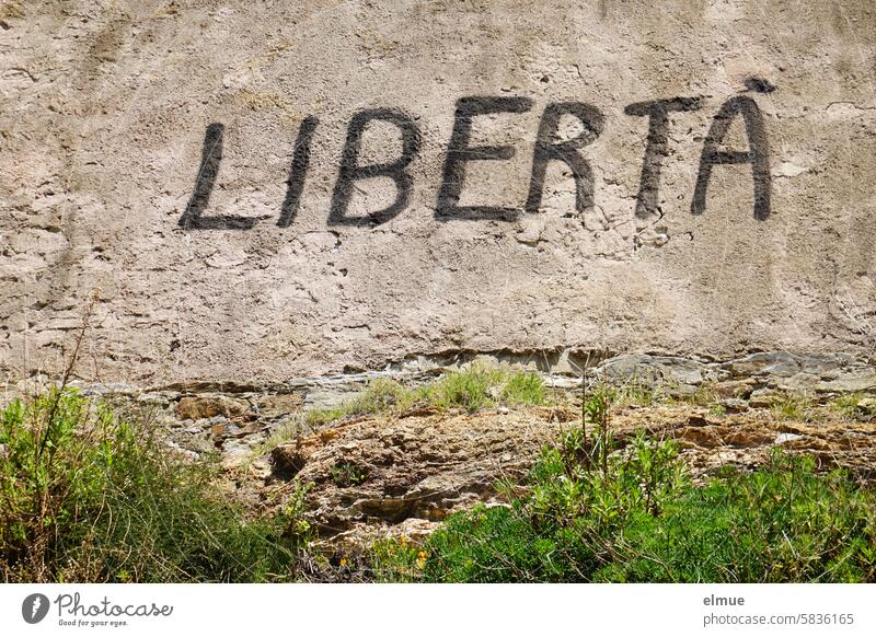 LIBERTA steht in schwarz an einer Hauswand / Freiheit libertà französisch Graffiti Korsika Insel Mittelmeer Unabhängigkeit zwanglos Autonomie libertas auswählen