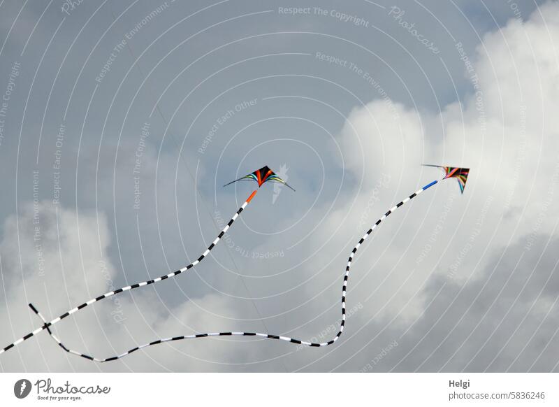 Freudentanz der Lenkdrachen Drachen Drachenfest Himmel fliegen Wolken zwei Formation Formationsflug Wind Freizeit & Hobby Drachen steigen lassen Luft Kindheit