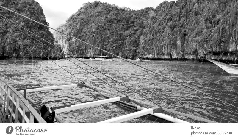 Blick von einer Klippe auf die wunderschöne Paradiesbucht Krone See Kajangan Philippinen Insel palawan Lagune tropisch Hintergrund Natur blau Landschaft Sommer