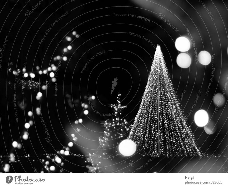 Frohes Fest Feste & Feiern Weihnachten & Advent Weihnachtsbaum Weihnachtsbeleuchtung Baumschmuck Dekoration & Verzierung glänzend leuchten stehen ästhetisch
