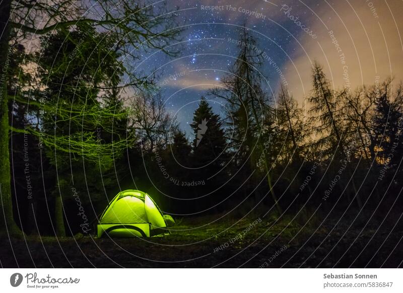 Grün beleuchtetes Zelt im Vogesenwald im Winter unter dem nächtlichen Sternenhimmel, Elsass, Frankreich Wald Nacht Trekking wandern reisen Himmel Erholung