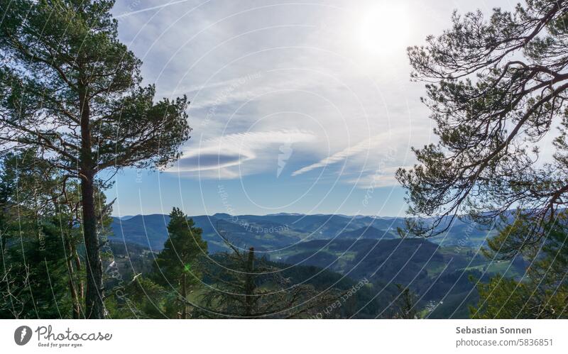 Schöner Blick über die Berglandschaft der Vogesen an einem sonnigen Wintertag, Elsass, Frankreich Landschaft Berge u. Gebirge Himmel reisen wandern Natur Gipfel