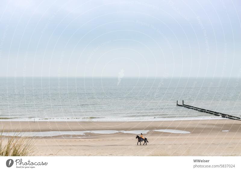 Da unten am Strand reitet eine schön gekleidete Frau auf einem schicken Rappen, wie im Film! Küste Ozean Nordsee Meer romantisch Sand Urlaub Wasser Wellen