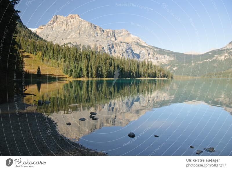 Kanada | Emerald Lake | Spiegelung am Abend See Bergsee Berge Gebirge Ferien & Urlaub & Reisen Seeufer Berge u. Gebirge Landschaft Erholung