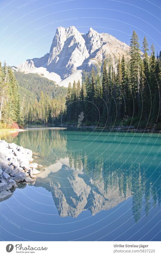 Kanada | Emerald Lake gespiegelt See Bergsee Berge Gebirge Ferien & Urlaub & Reisen Seeufer Berge u. Gebirge Landschaft Erholung Reflexion & Spiegelung
