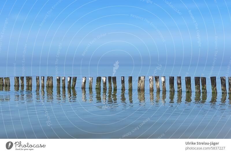 Nordsee | Holzpfähle einer Mole bei Flut friedliche Stimmung Salzwasser im Wasser Horizont Wolken Strand Himmel blauer Himmel Meer Küste ruhig beruhigend Idylle