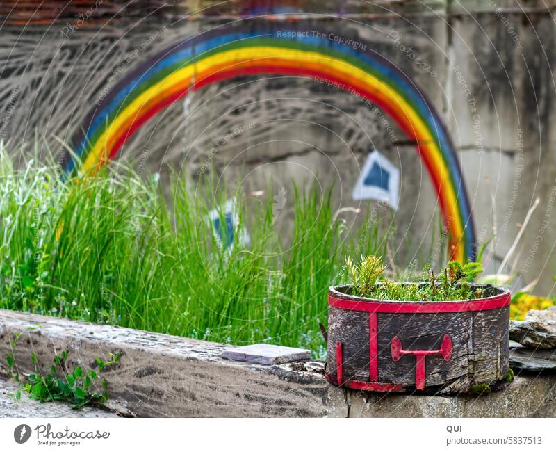 Ein Schatz am Ende des Regenbogens bunt malen gemalt Farben Legende Pflanzen Bottich Blumen Setzlinge Trog Mauer Kunst Freizeit & Hobby Kreativität mehrfarbig