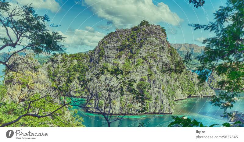 Blick von einer Klippe auf die wunderschöne Paradiesbucht Krone See Kajangan Philippinen Insel palawan Lagune tropisch Hintergrund Natur blau Landschaft Sommer