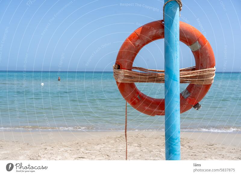 Rettungsring am Meer Ferien & Urlaub & Reisen Strand Sicherheit Tourismus Sommer Küste